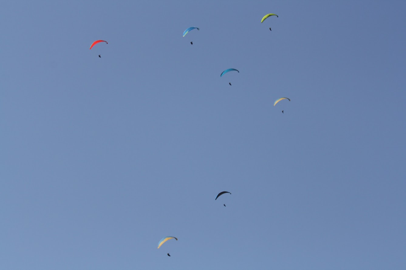 Paragliders scattered across blue sky over Valle de Bravo